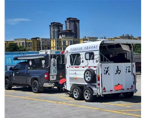 湖南两马位马车